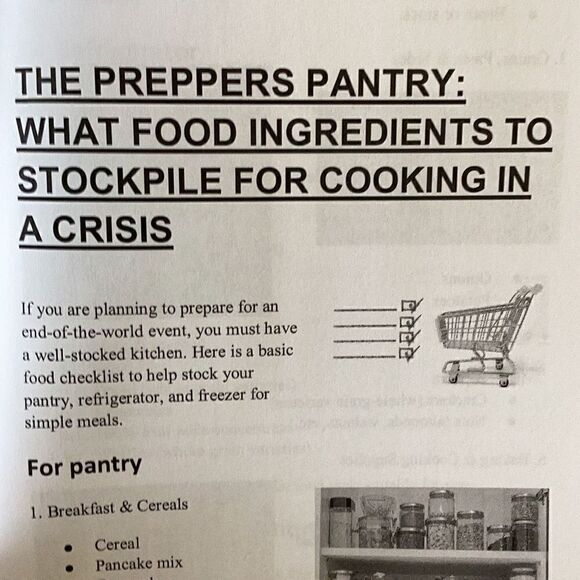 LOST RECIPES OF OUR ANCESTORS Learn How To Cook Without Electricity New Book - Picture 7 of 8